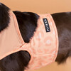 PAIKKA Hunde Kühlweste "Cool Vest" pfirsich Abbildung 5