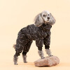 PAIKKA Hunde Overall "Winter Suit" schwarz Abbildung 3