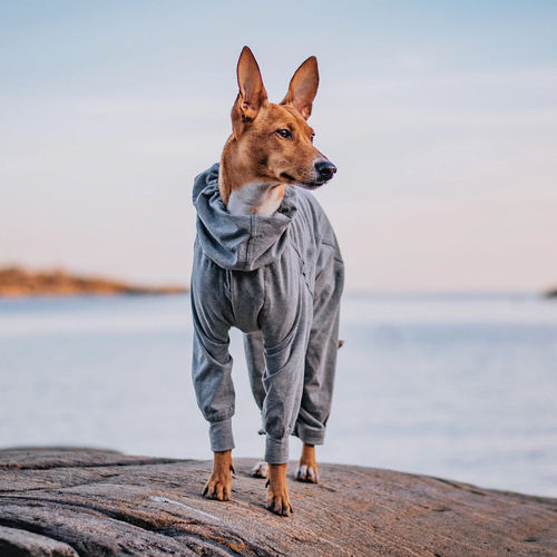 weitere Abbildung PAIKKA Hunde Overall leicht & wrmend 