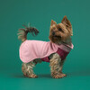 PAIKKA Hunde Pullover "Seawool Shirt" pink Abbildung 3