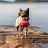PAIKKA Hunde Pullover "Seawool Shirt" pink Abbildung 4