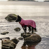 PAIKKA Hunde Pullover "Seawool Shirt" pink Abbildung 5