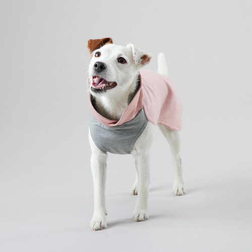 weitere Abbildung PAIKKA Hunde Pullover wrmend 