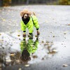 PAIKKA Hunde Regen Overall Neon leicht & reflektierend "Rain Suit neon“ gelb Abbildung 2
