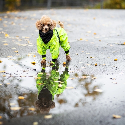 weitere Abbildung PAIKKA Hunde Regen Overall Neon leicht & reflektierend 