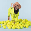 PAIKKA Hunde Regen Overall Neon leicht & reflektierend "Rain Suit neon“ gelb Abbildung 5