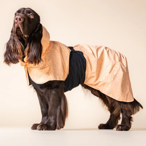 weitere Abbildung PAIKKA Hunde Regenmantel 