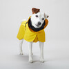 PAIKKA Hunde Regenmantel leicht & reflektierend "Visibility Raincoat Lite“ gelb Abbildung 2