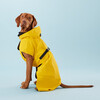 PAIKKA Hunde Regenmantel leicht & reflektierend "Visibility Raincoat Lite“ gelb Abbildung 3