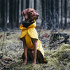 PAIKKA Hunde Regenmantel leicht & reflektierend "Visibility Raincoat Lite“ gelb Abbildung 4