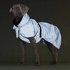 PAIKKA Hunde Regenmantel leicht & reflektierend "Visibility Raincoat Lite“ grün Abbildung 2