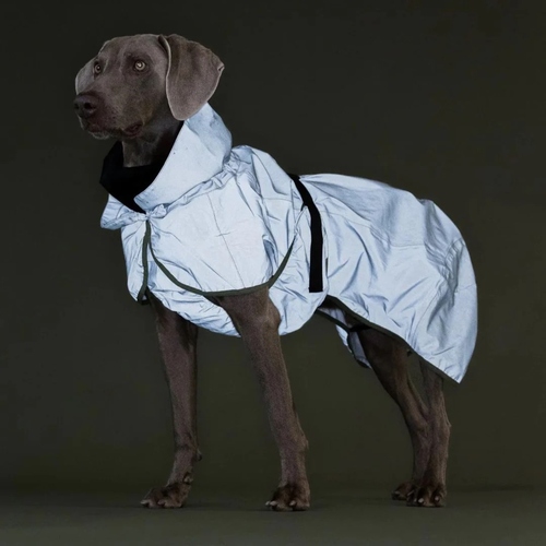 weitere Abbildung PAIKKA Hunde Regenmantel leicht & reflektierend 