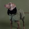 PAIKKA Hunde Regenmantel leicht & reflektierend "Visibility Raincoat Lite“ grün Abbildung 4