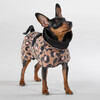 PAIKKA Hunde Regenmantel leicht & reflektierend "Visibility Raincoat Lite“ leo Abbildung 3