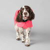 PAIKKA Hunde Regenmantel leicht & reflektierend "Visibility Raincoat Lite" pink Abbildung 2