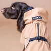PAIKKA Hunde Regenmantel leicht & reflektierend "Visibility Raincoat Lite“ taupe Abbildung 3