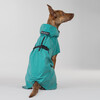 PAIKKA Hunde Regenmantel reflektierend "Visibility Raincoat" Emerald Abbildung 3