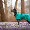 PAIKKA Hunde Regenmantel reflektierend "Visibility Raincoat" Emerald Abbildung 4