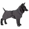 PAIKKA Hunde Regenmantel reflektierend "Visibility Raincoat" dark/anthrazit Abbildung 1