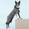 PAIKKA Hunde Regenmantel reflektierend "Visibility Raincoat" dark/anthrazit Abbildung 4