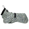 PAIKKA Hunde Regenmantel reflektierend "Visibility Raincoat" green leo Abbildung 1