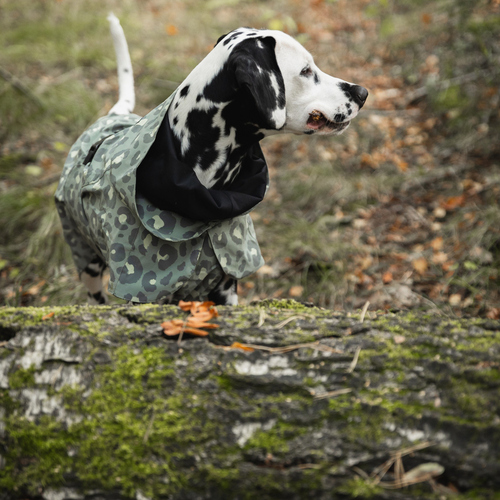 weitere Abbildung PAIKKA Hunde Regenmantel reflektierend 