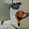 PAIKKA Hunde Regenmantel reflektierend "Visibility Raincoat" green leo Abbildung 3
