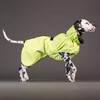 PAIKKA Hunde Regenmantel reflektierend "Visibility Raincoat" matcha Abbildung 2