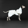 PAIKKA Hunde Regenmantel reflektierend "Visibility Raincoat" matcha Abbildung 3