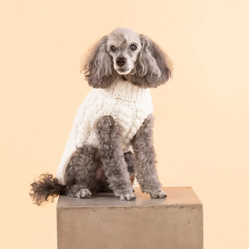 weitere Abbildung PAIKKA Hunde Strickpullover 