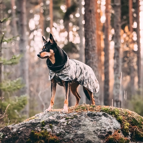weitere Abbildung PAIKKA Hunde Winter-Jacke reflektierend  