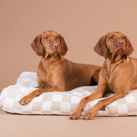 Abbildung PAIKKA Hundematratze kariert beige