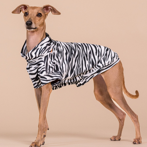 weitere Abbildung PAIKKA Hundeshirt Sonnenschutz/Antiparasit 