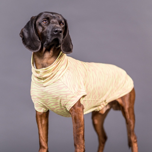 weitere Abbildung PAIKKA Hundeshirt Sonnenschutz/Antiparasit 