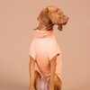PAIKKA Hundeshirt Sonnenschutz/Antiparasit "UV & Bug Shirt" pfirsich Abbildung 2