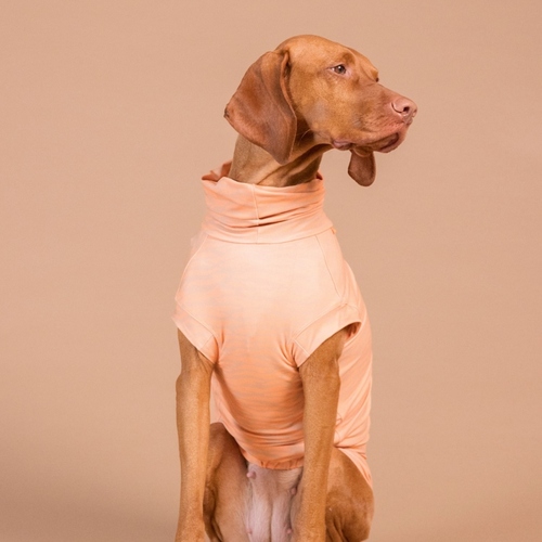 weitere Abbildung PAIKKA Hundeshirt Sonnenschutz/Antiparasit 