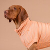 PAIKKA Hundeshirt Sonnenschutz/Antiparasit "UV & Bug Shirt" pfirsich Abbildung 3