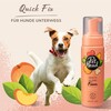 PET HEAD Schaum "Quick Fix" Pfirsich 200 ml Abbildung 2