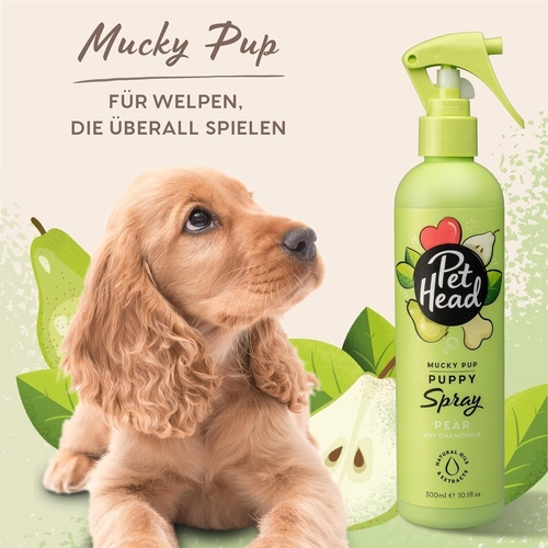 weitere Abbildung PET HEAD Spray 