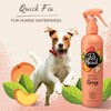 PET HEAD Spray "Quick Fix" Pfirsich 300 ml Abbildung 2