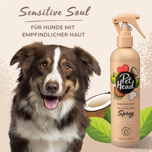 weitere Abbildung PET HEAD Spray 