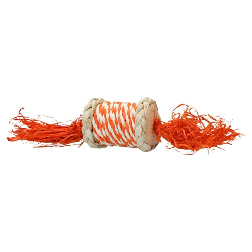 Pawise Nager Spielzeug Play & Chew Candy