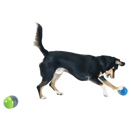 weitere Abbildung PetSafe Elektronisches Hundespielzeug Ricochet