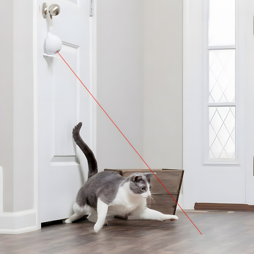 weitere Abbildung PetSafe Laser-Katzenspielzeug Dancing Dot