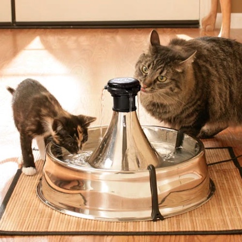 weitere Abbildung PetSafe Trinkbrunnen Drinkwell Edelstahl 360 fr Katzen