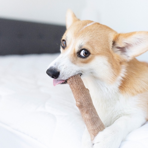 weitere Abbildung Petstages Hundespielzeug Dogwood Stick braun