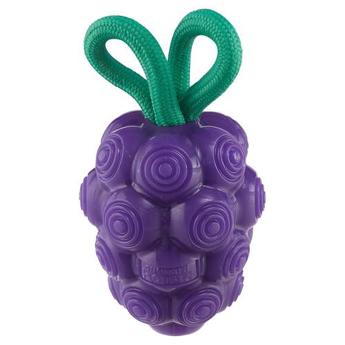 Planet Dog Dental Grapes purple, Maße: 16,5 x 7,6 cm