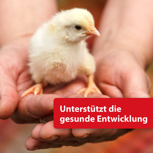 weitere Abbildung Quiko Hobby-Farming Eifutter/Eggfood 2 kg
