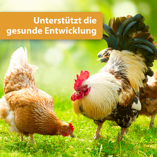 weitere Abbildung Quiko Hobby-Farming Vitacombex H 500 ml