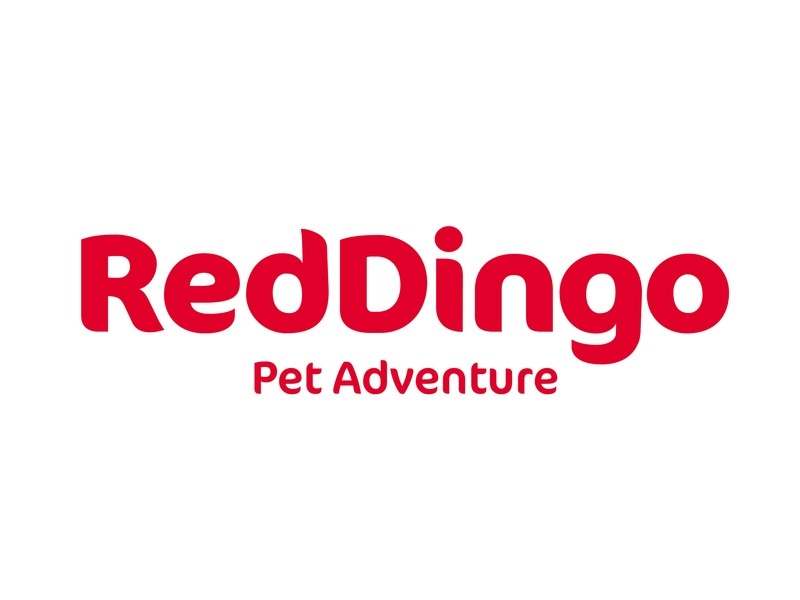 Logo von RedDingo: Modisches Accessoires, die individuellen Schutz ermöglichen!